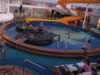 DCLMagic01242009 266.jpg (107kb)